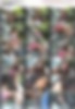 85460382_[14y]_rosmeri___stairs_shoes..jpg